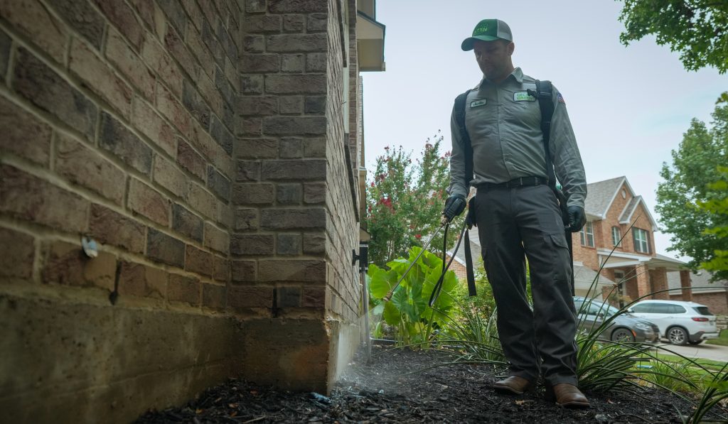 pest control service