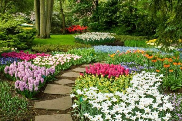 weed control service