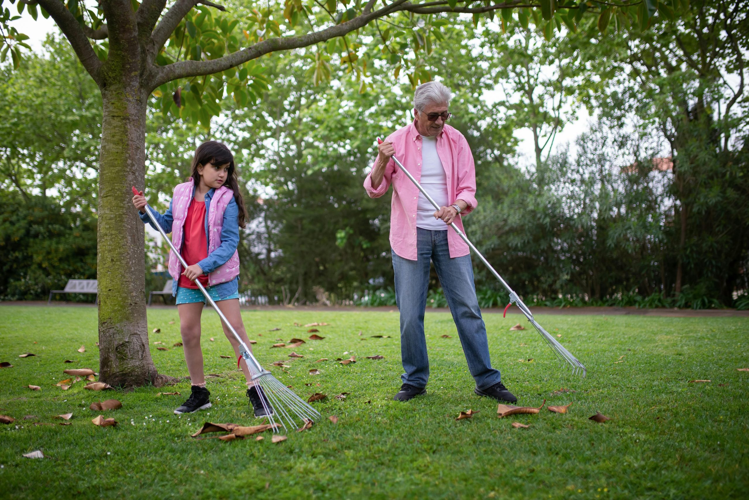 should you rake leaves before a treatment