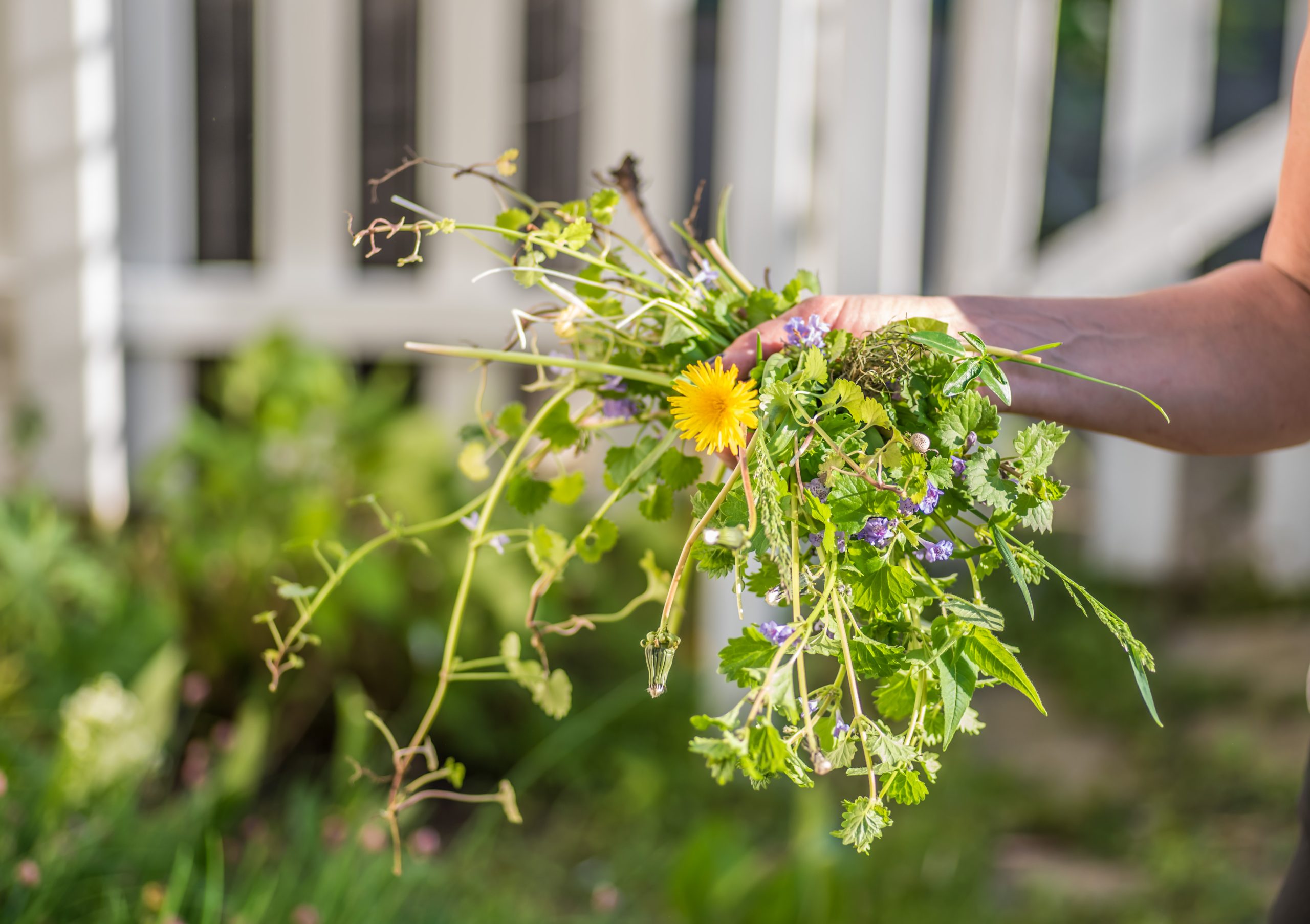 common weed control methods