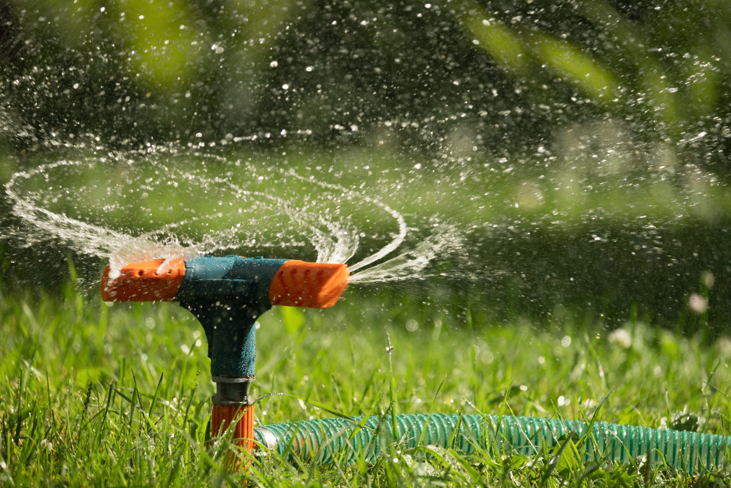 lawn watering sunny day