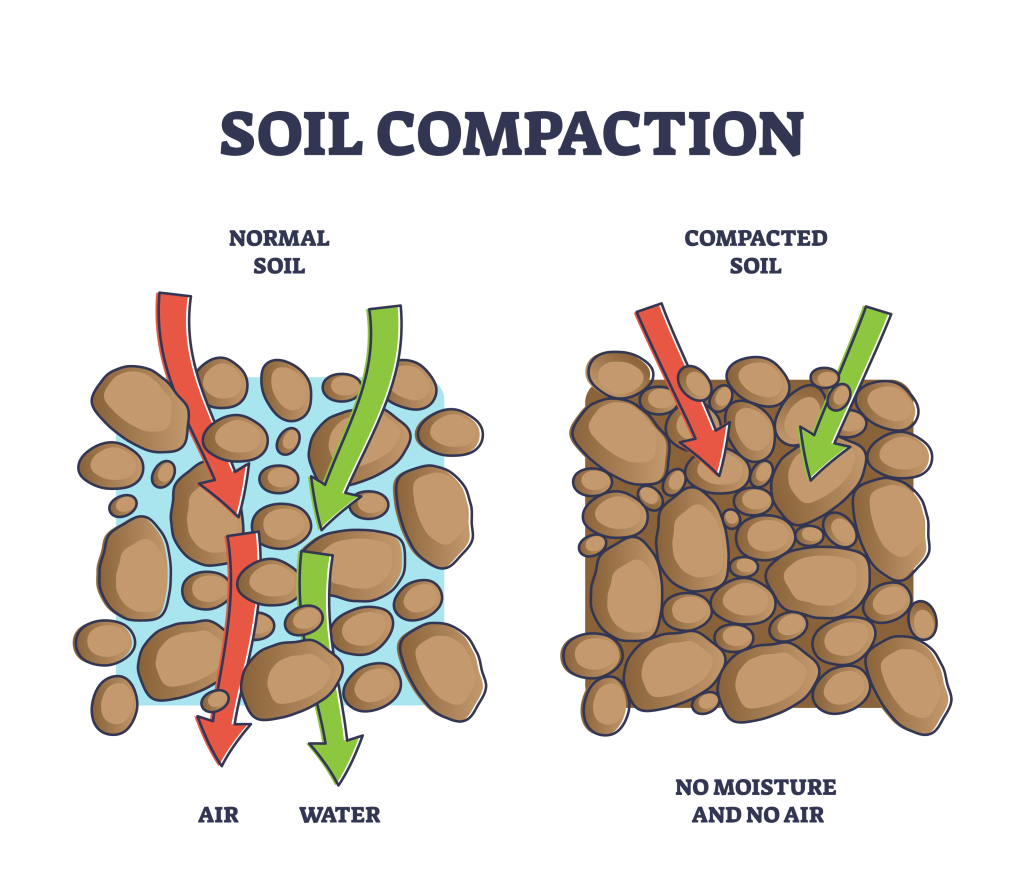 Soil Compaction